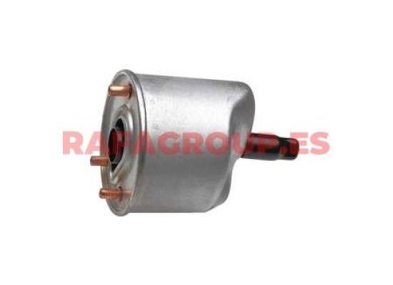 9809721080 - Filtro combustible, DS, CITROEN, PEUGEOT, FIAT, OPEL, TOYOTA, MITSUBISHI, RG63616